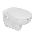 LAVITA Wand-WC Arctic Hänge Toilette Toilettendeckel mit Absenkautomatik & Metallscharniere Toiletten Spülrandlos Hängend wc sitz Toilettenbecken 350x535x535 mm Weißer Glanz