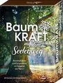 SET - Baumkraft auf dem Seelenweg: Beständigkeit und Ins... | Buch | Zustand gut