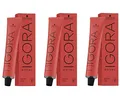 Schwarzkopf Igora Royal 6-5 3er Pack (3x60 ml)