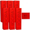 Schwarzkopf Igora Royal 6 x 60 ml 6-5 dunkelblond gold Haarfarbe Cremefarbe Set