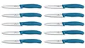 10er Set Victorinox Schweiz Tomatenmesser Küchenmesser Brötchenmesser BLAU