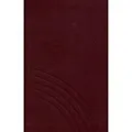 Evangelisches Gesangbuch (rot) / Wichern Verlag / Buch