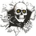 Hermann Schütz Aufkleber Einschussloch 90mm Motiv Totenkopf 80x80mm