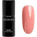 NEONAIL Kollektionen Dreamy Shades Color UV Nagellack Bloomy Mood 7,2 ml ()