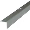 Dalsys - Treppenkantenprofil Mit Befestigungsmaterial - 100cm X 42mm X 20mm Champagner