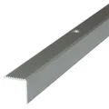 Dalsys Treppenkantenprofil Aluminium 100cm x 42mm x 20mm Bodenprofil für Treppenwinkel zum Schrauben Champagner