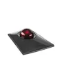 Kensington SlimBlade Pro Trackball - Maus (Schwarz)
