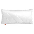 sleepling Kopfkissen 50x80 cm, Allergiker Kissen, waschbar, Made in EU, Oeko-TEX, langes Schlafkissen 50 x 80, Bettkissen, Pillow, Basic 100