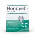 Heel – Hormeel® LT ad us. vet.