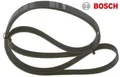 BOSCH 1987948482 Keilrippenriemen Keilriemen