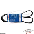 1x Original BOSCH 1 987 948 482 Keilrippenriemen