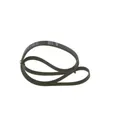 1x Keilrippenriemen BOSCH 1 987 948 482 passend für AUSTIN BMW CHRYSLER DODGE