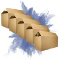 PROREGAL 5x Versandkarton 2-wellig | LxBxH 1200 x 600 x 600 mm | Mit Höhenriller & Belastbar bis 30 kg | Faltkarton Karton Paket für Versand mit DHL
