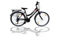 Talson Cityrad 26 Zoll Cityrad, 21 Gang Shimano, Kettenschaltung, mit Beleuchtung nach StVZO und Gepäckträger Schwarz