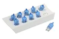OSRAM 2825 CBN Glühbirne BOX mit 10St. W5W 12V 5W Cool Blue Intense 4000K
