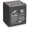 LD Systems Road Jack  Battery - Akku