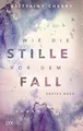Wie die Stille vor dem Fall. Erstes Buch: Erstes Buch. Roman (Chances-Reihe)