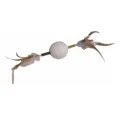 Nobby Tier-Beschäftigungsspielzeug Katzenspielzeug Matatabi Stick mit Rasselball