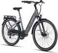 DERUIZ E-Bike Quartz 28 Zoll, Citybike mit 644Wh Batterie und 250W Hinterradmotor, Reichweite 160km(mit Akku-ladegerät und werkzeug), grau