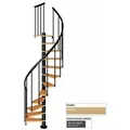 Dolle Spindeltreppe Calgary Buche/anthrazit 244,8-280,8cm Geschosshöhe Ø120cm