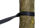 Amazonas Tree Hugger Baumschutz