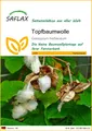 SAFLAX  - Topfbaumwolle - Gossypium - 12 Samen