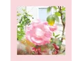Pinks And Purples Reds - SUMMER AT LAND'S END (Classic Black Vinyl) - (Vinyl)