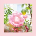 The Reds, Pinks & Purples, Pinks And Purples Reds: Summer At Land's End (classi