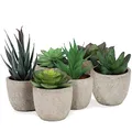 addhome Kunstpflanzen Set | 6 naturgetreue Sukkulenten in fest verklebten Übertöpfen | Pflegeleicht und zeitlos | ideal für Wohnzimmer, Büro etc. | Zuhause verschönern