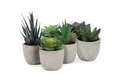 Kunstpflanze 6er Set Kunstpflanzen Sukkulenten in Steinoptik-Töpfen (7,5-14cm H), addhome, Höhe 5 cm, Naturgetreue Dekopflanzen 6-8cm Ø Ideal für Büro & Wohnzimmer