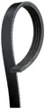 Gates 4PK845 Keilrippenriemen für BMW DAIHATSU HONDA HYUNDAI KIA