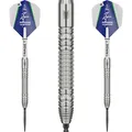 Target Steeldarts SWISS Point Shane McGuirk The Arrow GEN 1 90% Tungsten 🎯🔥✅