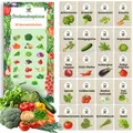 Gemüsesamenset 20 Sorten Samen Saatgut für Gemüse Gartenbeet Tomate Chili