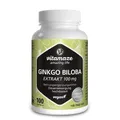 2x GINKGO BILOBA 100 mg hochdosiert vegan Kapseln 100 ST