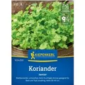 Kiepenkerl Profi-Line Koriander Jantar