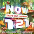 Various Artists NOW That's What I Call Music! 121 (CD) Album (US IMPORT)