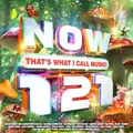 Various Artists - Now Thats What I Call Music! 121 - 2CD - D99z