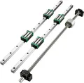 VEVOR 2stk HGR20-1000mm Linearführung Guide Rail+RM1605-1000mm Kugelumlaufspindel Set