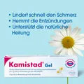 KAMISTAD Gel 10 g PZN 03927045