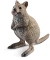 GW5377 Schleich - 14823 - Quokka