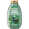 GARNIER Wahre-Schaetze Wahre-SchaetzeGrüner Tee & 4 PflanzenVitalisierendes Shampoo 250 ml (11,56 € / 1 l)