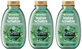 ✅Garnier Wahre Schätze vitalisierendes Shampoo Grüner Tee & 4 Pflanzen 3x 250ml✅