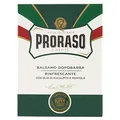 PRORASO Aftershave Balm Green, 100 ml