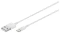 goobay Lightnin/USB-Kabel 54600 1 m