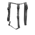 Wolters | Professional No Escape graphite | 40-50 cm