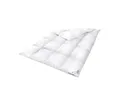Baumwollbettdecke HS96 Daunendecke Decken 240x260 cm 70% DAUNEN - 30% FEDERN - 2000 G, Füllung: 70% Daunen, 30% Federn, Bezug: Baumwolle