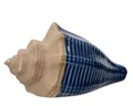 Muschel Deko Maritim 15x8cm Porzellan - Dekofigur Dekomuschel - Keramikmuschel Dekoidee Geschenkidee - Tischdeko Meeresdeko Stranddeko Muscheldeko - Blau Beige