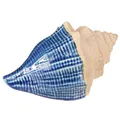 Maritime Keramik Muschel Blau Beige Dekoration 2er Set, 2 Stück