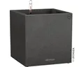 Pflanzkübel Lechuza Canto Stone Kunststoff 30 x 30 x 30 cm schwarz inkl. Erdbewä