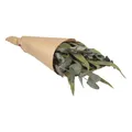 Eukalyptus Bund mit Papiermanschette, 30-35cm Trockenstrauß getrocknet Blumen 